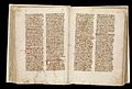 "Chirurgia" by Henri de Mondeville (MS.564) Wellcome L0073988.jpg