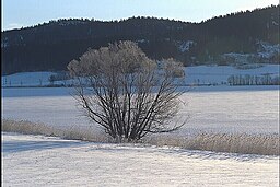 Östansjösjön vintern 2002.