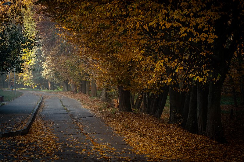 File:Осінь. Біля чортового колеса.jpg