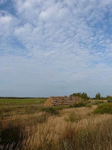 File:Рулоны соломы у Медведкова - panoramio.jpg