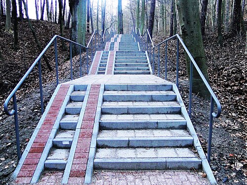 Stairs in the forest.jpg