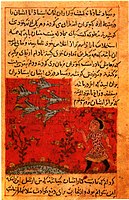 Story of "Ringneck pigeon" from Kalila and Dimna, in Persian.