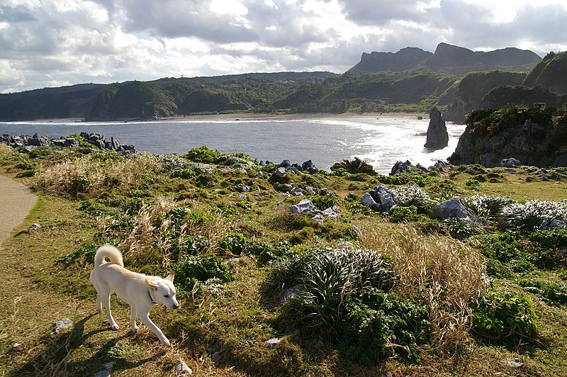 File:辺戸岬 - panoramio.jpg