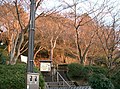 2/18 長野公園（河内長野市）