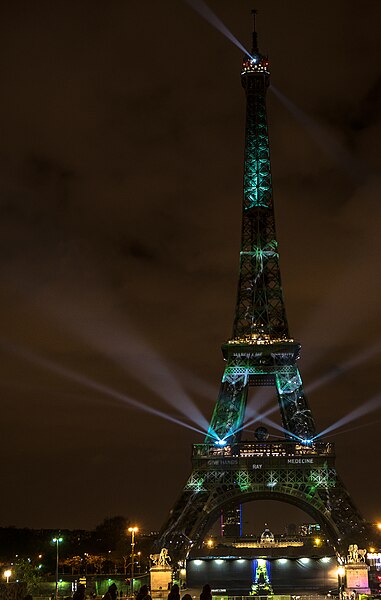 File:-1heart1tree - Tour Eiffel à -Paris - Eiffel Tower - COP 21 (22778240144).jpg