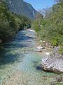 Soča v zgornjem toku