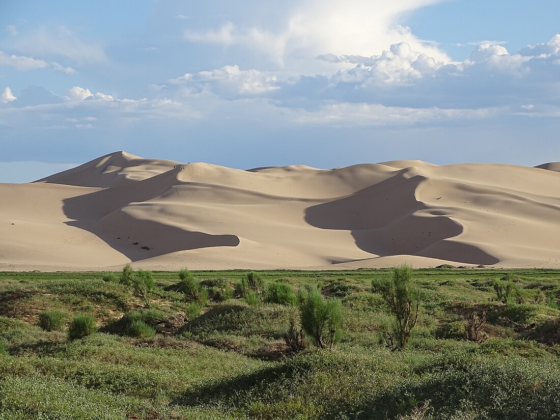 Gobi Gurvansaihana nacionālais parks