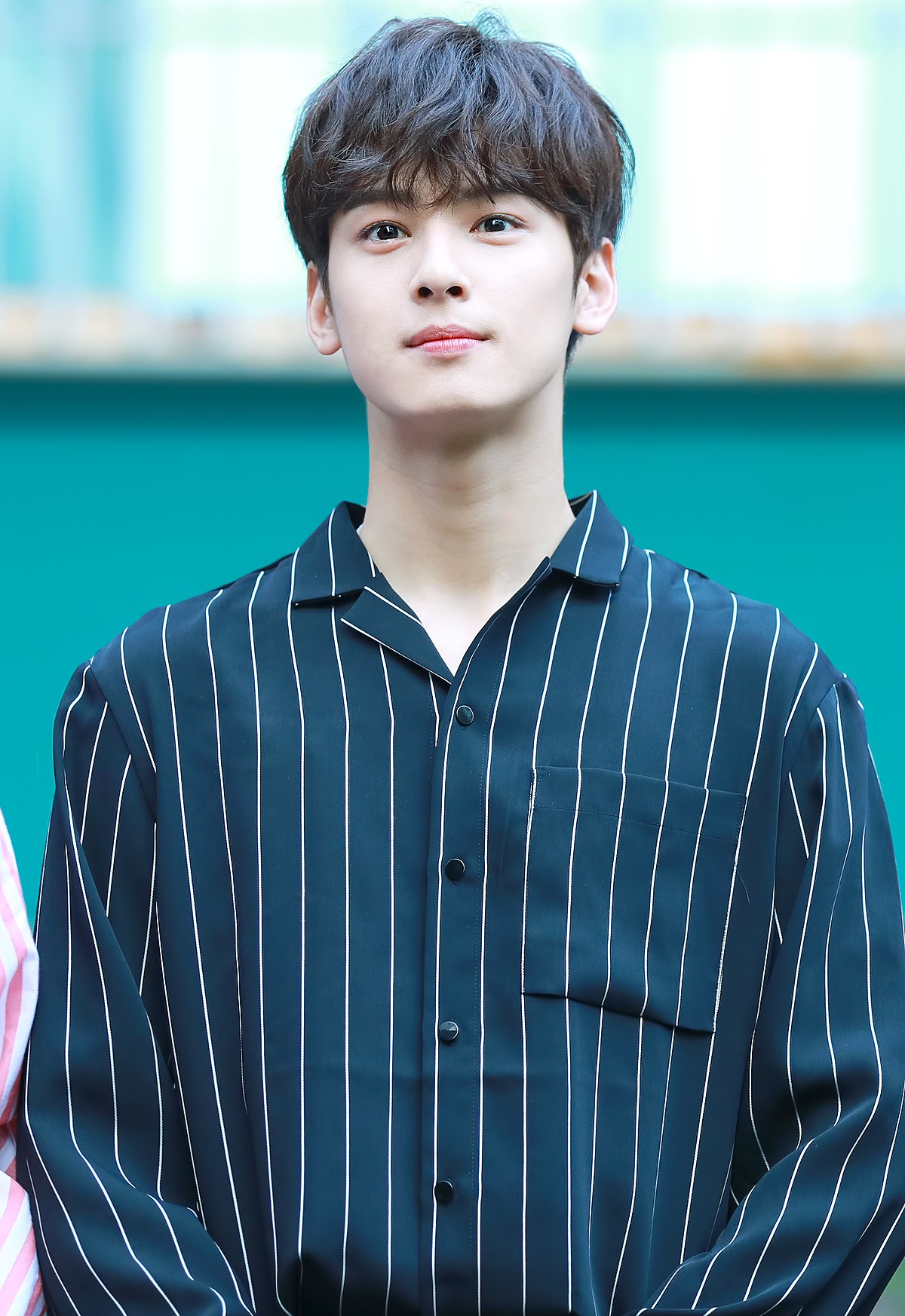 Cha Eun-woo - Wikipedia