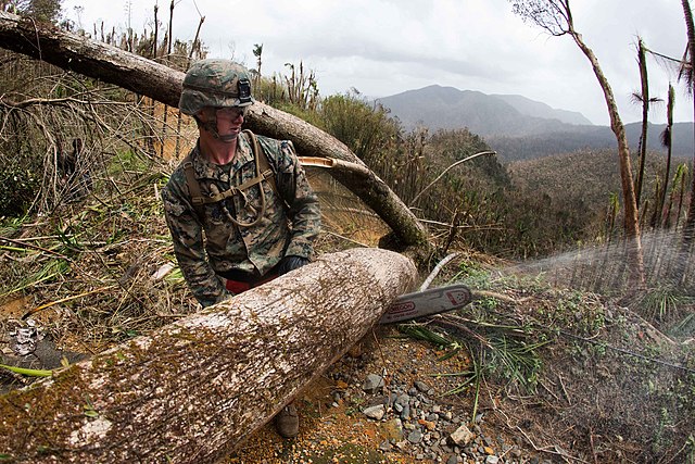 National Guard working in Ceiba after the hurricane