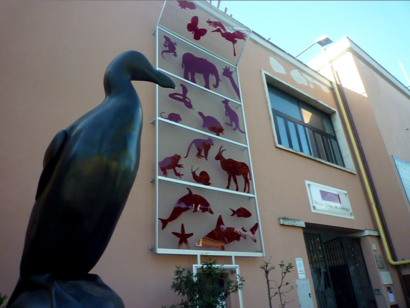 How to get to Museo Civico di Zoologia with public transit - About the place