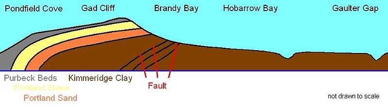 File:2010-11-16 Brandy Bay geol jpg 1.jpg