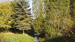 Верхнее течение Вюрцбаха около деревни Риттерсмюле осенью 2019 года