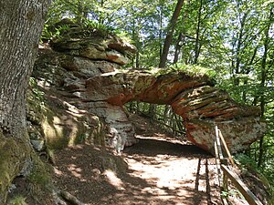 2020 Südwestpfalz 0223 Felsenwald Felsentor.JPG