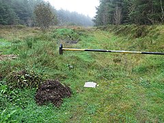 A track in the forestry - geograph.org.uk - 3690961.jpg