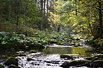 Vorschaubild für Haslach (Wutach)