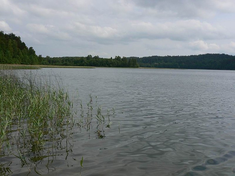 File:Almajas lake.jpg