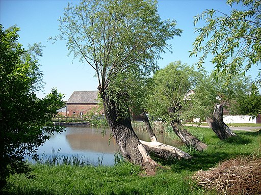 AltranstädtTeich