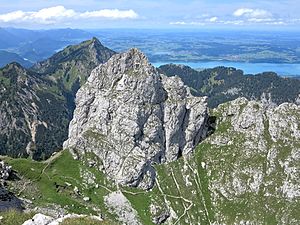 The rocky summit of the Gabelschrofen in the foreground