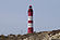 Amrum lighthouse.jpg