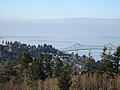 Astoria, Astoria-Megler Bridge from Astoria Column (2011)