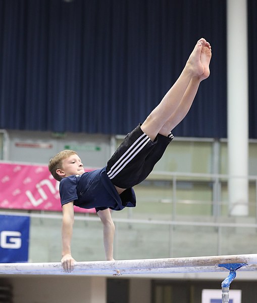 File:Austrian Future Cup 2018-11-23 Training Afternoon Parallel bars (Martin Rulsch) 0288.jpg