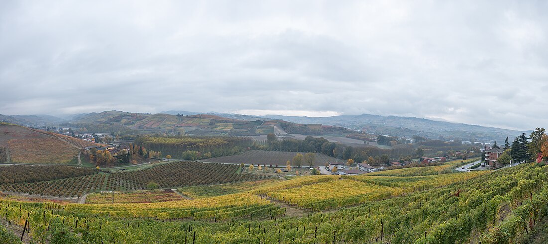 Grinzane Cavour