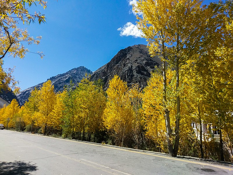 File:Autumn colors on the KKH.jpg