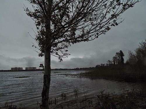 bad weather in Orlando during the month of December