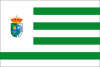 پرچم ال کرونیل