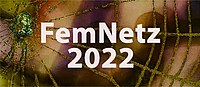 Das Banner für das Netzwerktreffen FemNetz 2022 ist eine Collage aus einem Foto, das einen Ausschnitt eines Spinnennetzes mit einer Spinne darin zeigt. Die Farben des Fotos sind in gold-braun gehalten. Auf dem Banner steht der Text "FemNetz 2022".