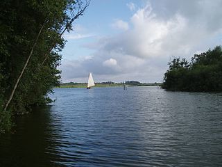 <span class="mw-page-title-main">Barton Broad</span> Nature reserve north-east of Norwich in Norfolk