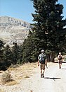 キリニ山の登山道