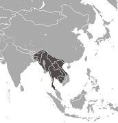 Bengal Slow Loris area.png