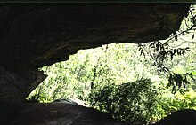 Rock shelter in Lyrebird Gully, where lyrebirds are occasionally seen Berowra0009.jpg