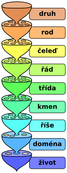 File:Biological classification L Pengo-cs.svg