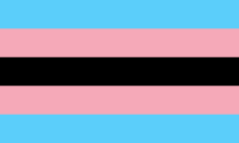 Drapeau coloré de la fierté transgenre de 0,9 x 1,5 m, drapeau trans aux  couleurs vives, en polyester, bleu, rose, multicolore, drapeau LGBT,  bannière