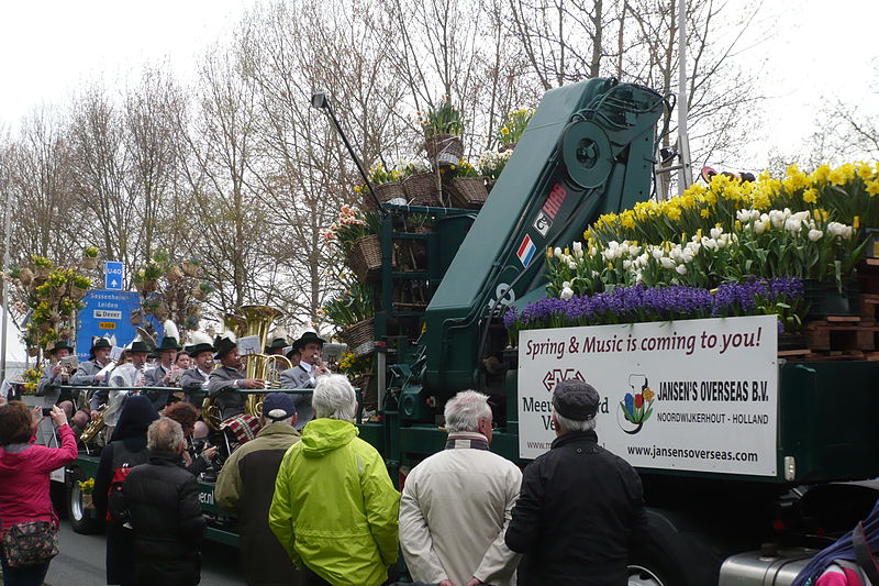 File:Bloemencorso 2015 bij Lisse 01.JPG