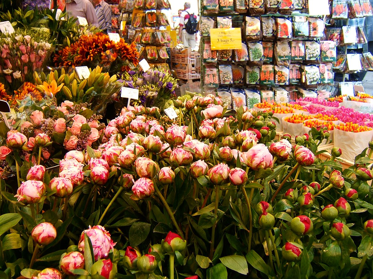 Рынок Bloemenmarkt Амстердам