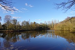 Bodenburgsee.jpg