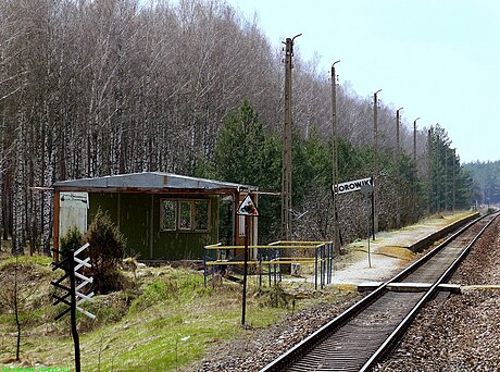 Borowiki (powiat siemiatycki)