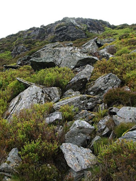 File:Boulderand heather slope - geograph.org.uk - 484596.jpg