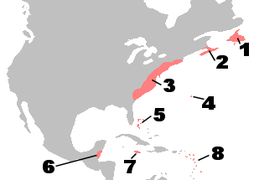Colonias británicas en América del Norte, alrededor de 1750. 1: Isla de Terranova; 2: Nueva Escocia; 3: las Trece Colonias; 4: Bermuda; 5: Bahamas; 6: Honduras Británica; 7: Jamaica; 8: Islas de Sotavento Británicas y Barbados.