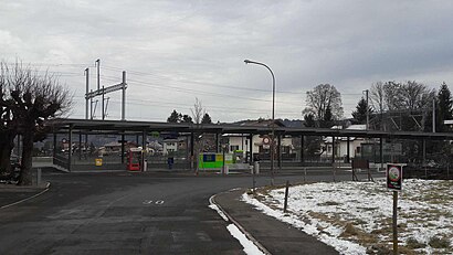 Canopy-covered platforms