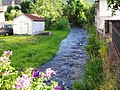 La Moselle à Bussang, à quelques km de sa source