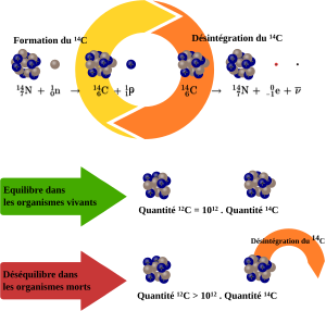 Datation Au Carbone 14: Historique, Principe, Origine du radiocarbone naturel