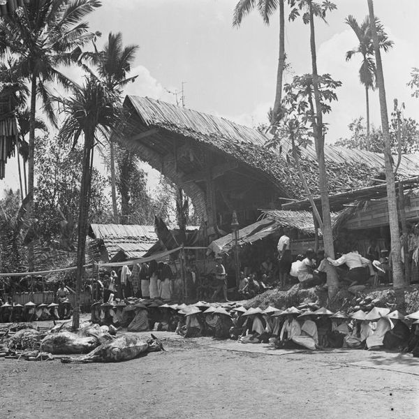 File:COLLECTIE TROPENMUSEUM Geslachte karbouwen tijdens een dodenfeest van de Toraja in Sadang TMnr 10028489.jpg