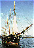 Photograph of the schooner C.A. Thayer at dock, sails furled, with tall masts reaching to a clear sky.