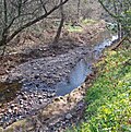 Thumbnail for Calabazas Creek (Sonoma County)