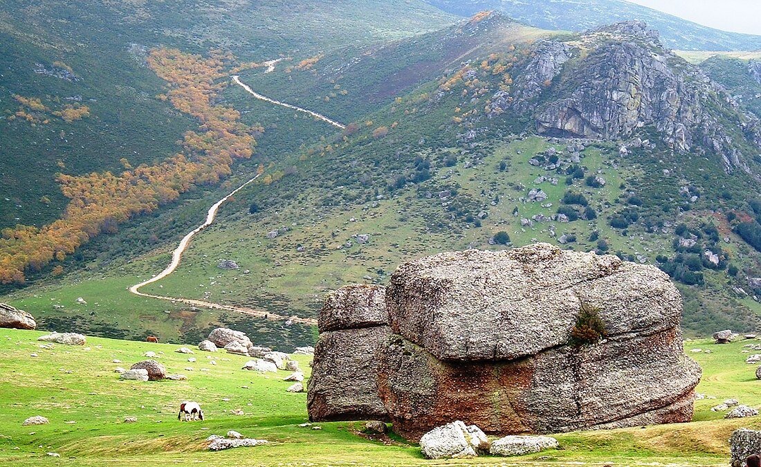 Bloque errático