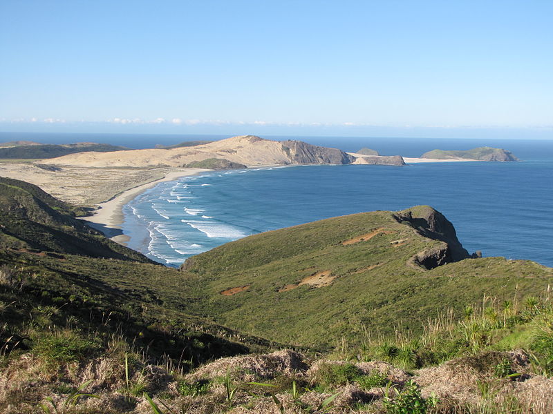 File:Cape Maria van Diemen2.JPG